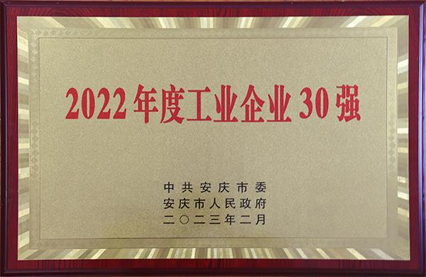 Top 10 Enterprises in Taihu, 2022